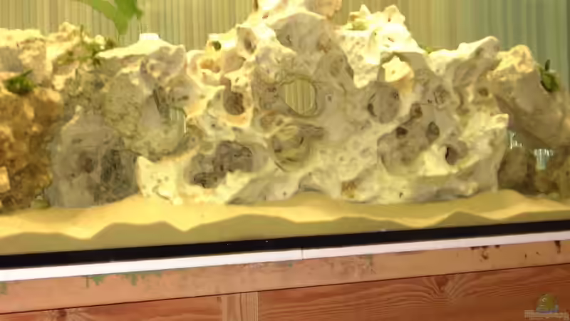 Dekoration im Aquarium Becken 234 von Frank Sanné (11)