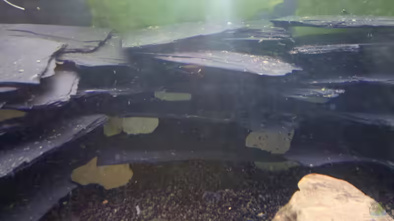 Dekoration im Aquarium Becken 23481 von Exoskelett-Fan (4)