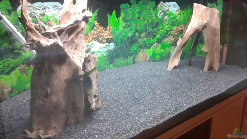 Dekoration im Aquarium Becken 23617 von Sebastian L. (11)