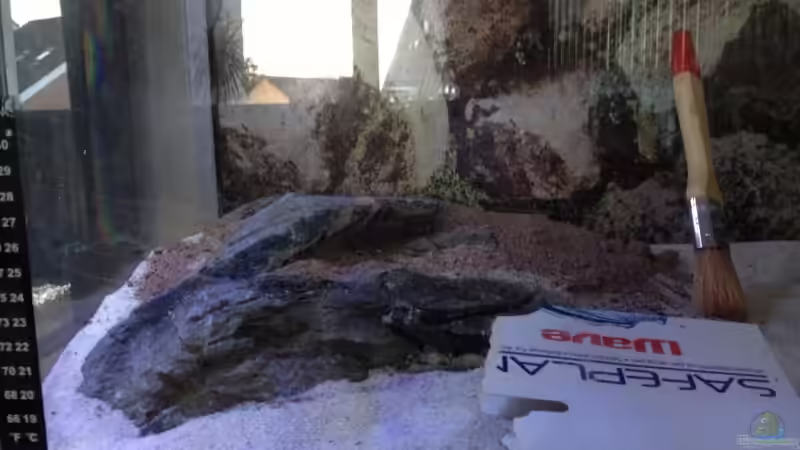 Dekoration im Aquarium Becken 26129 von Wicked88 (4)