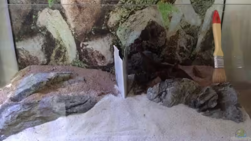 Dekoration im Aquarium Becken 26129 von Wicked88 (5)