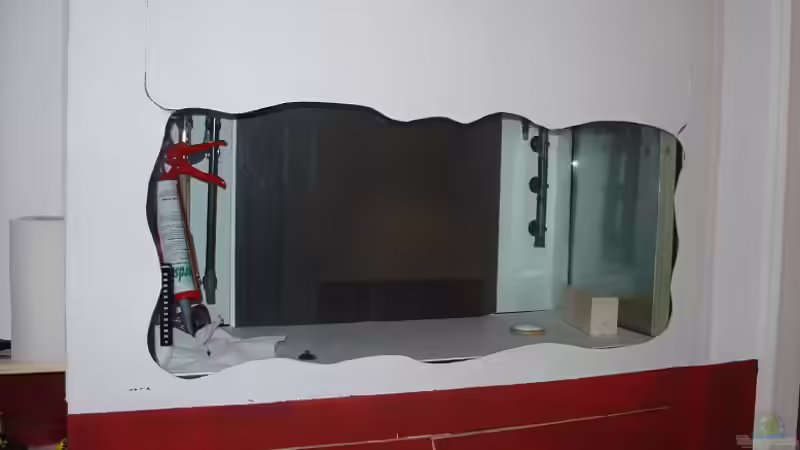 Dekoration im Aquarium Becken 2636 von Daniel Kronmüller (14)