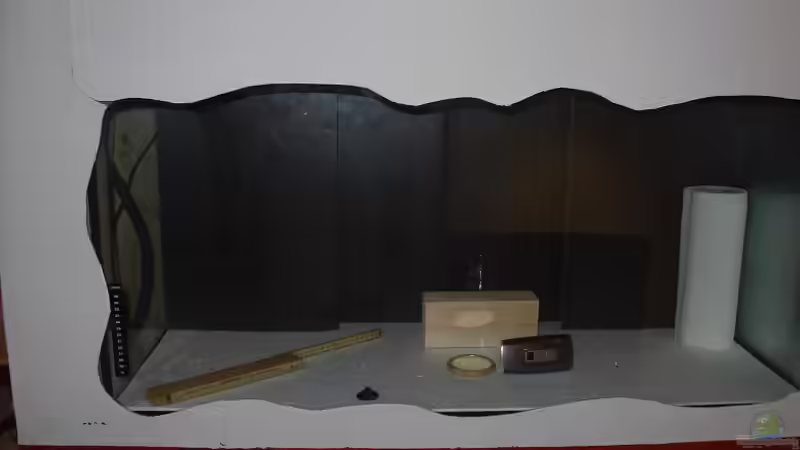 Dekoration im Aquarium Becken 2636 von Daniel Kronmüller (15)