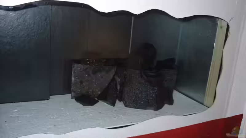 Dekoration im Aquarium Becken 2636 von Daniel Kronmüller (16)