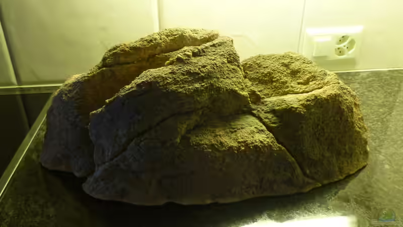 Dekoration im Aquarium Becken 26661 aufgelöst von namaycushfreak (12)