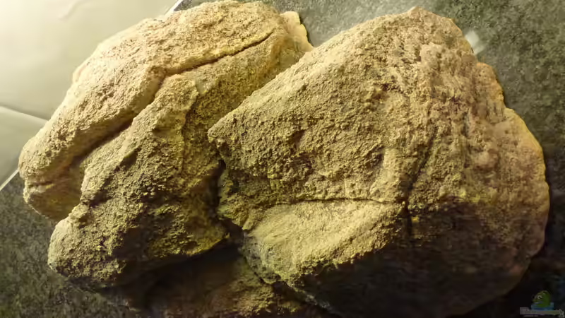 Dekoration im Aquarium Becken 26661 aufgelöst von namaycushfreak (13)