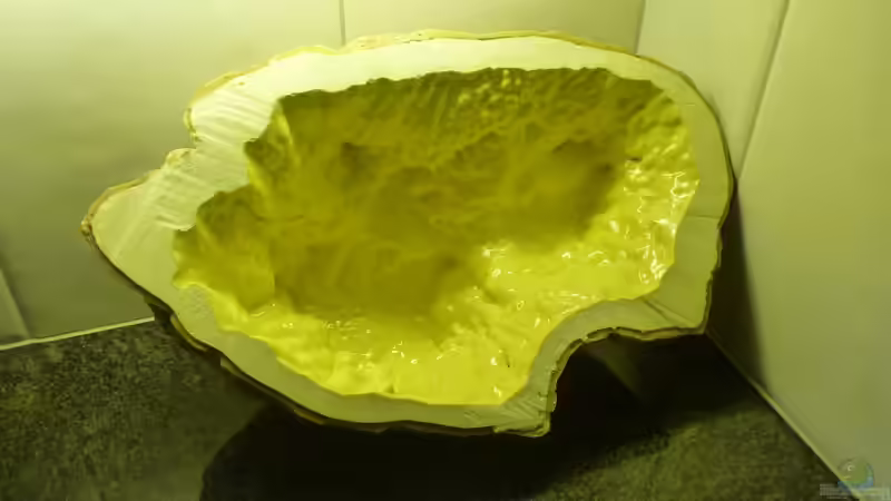 Dekoration im Aquarium Becken 26661 aufgelöst von namaycushfreak (14)