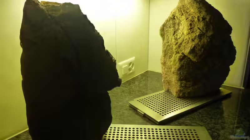 Dekoration im Aquarium Becken 26661 aufgelöst von namaycushfreak (15)