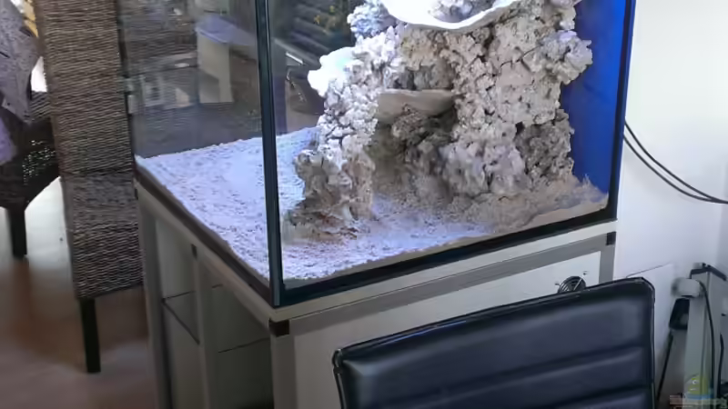 Dekoration im Aquarium Becken 26778 von Stefan Eckers (14)