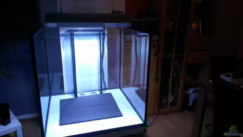 Dekoration im Aquarium Becken 26778 von Stefan Eckers (9)