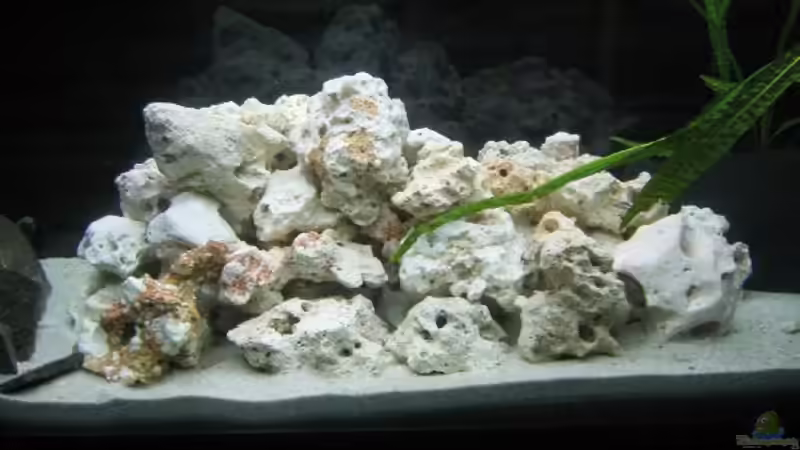 Dekoration im Aquarium Becken 2725 von Timo Pösl (8)