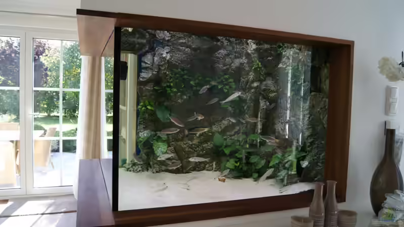 Dekoration im Aquarium Becken 27667 von Michael Walther (10)