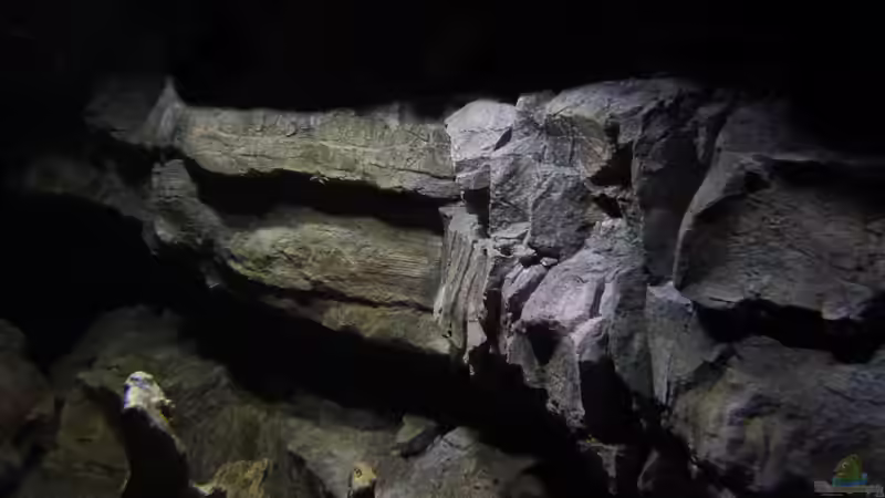 Dekoration im Aquarium Becken 27745 von namaycushfreak (31)