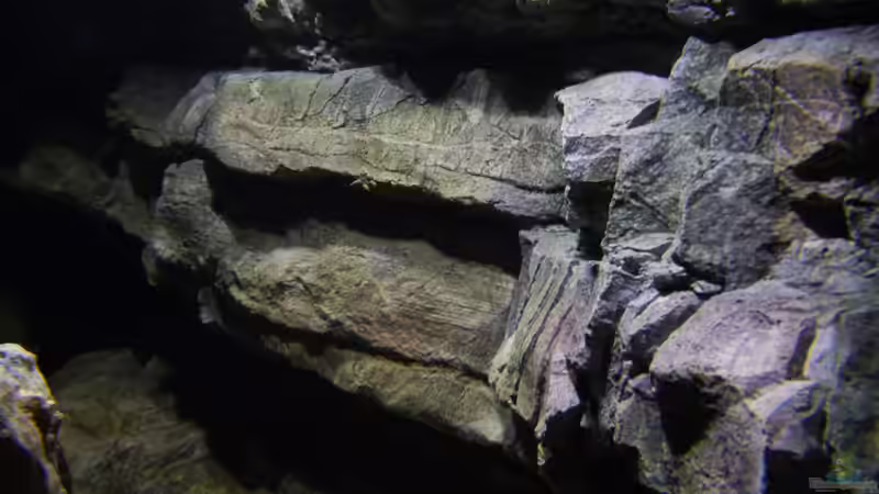 Dekoration im Aquarium Becken 27745 von namaycushfreak (32)