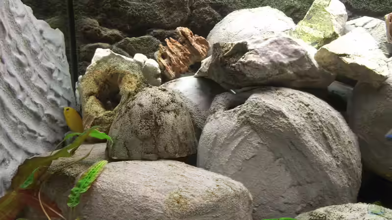 Dekoration im Aquarium Becken 28171 von Paul8 (6)