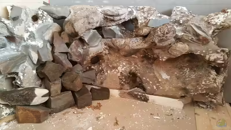 Dekoration im Aquarium Becken 28893  Malawidelta von wadde (20)