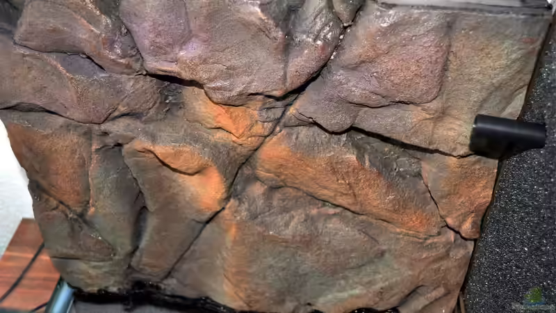 Dekoration im Aquarium Becken 29837 von Niederrain (6)