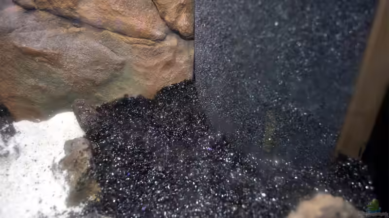 Dekoration im Aquarium Becken 29837 von Niederrain (7)