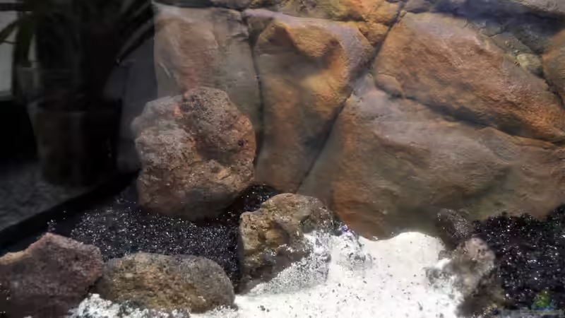 Dekoration im Aquarium Becken 29837 von Niederrain (8)