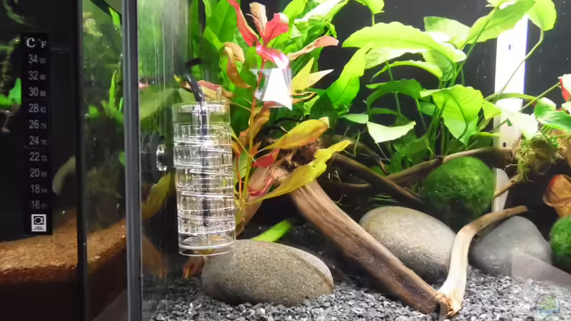 Dekoration im Aquarium Becken 30791 von shiru_k10 (19)