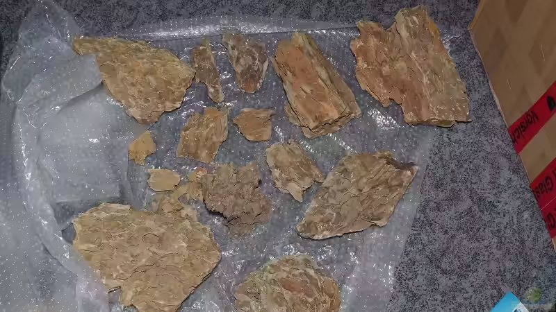 Dekoration im Aquarium Becken 30852 von Nobody (33)