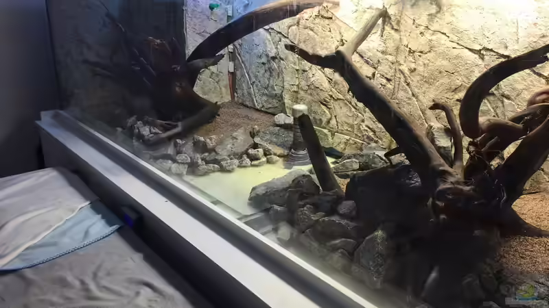 Dekoration im Aquarium Becken 31356 von Insulaner (9)