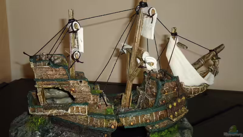 Dekoration im Aquarium Becken 31550 Juwel Trigon 190 von atom010 (35)