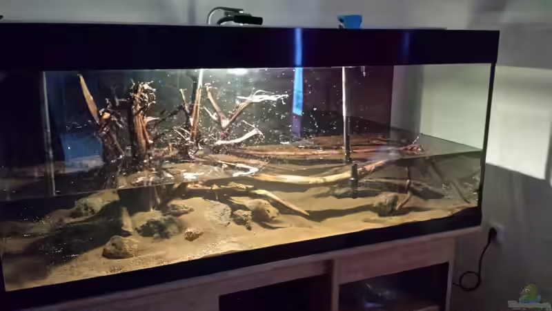 Dekoration im Aquarium Becken 31567 von hondatec (3)