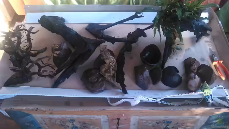 Dekoration im Aquarium Becken 31653 von Oistel (9)