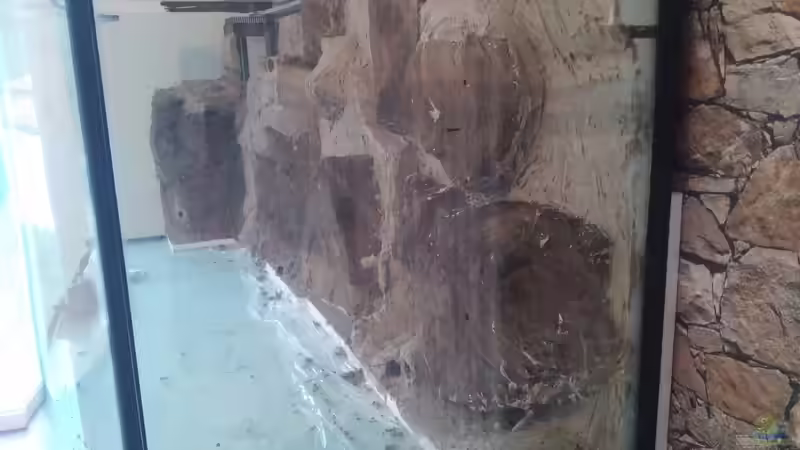 Dekoration im Aquarium Becken 31764 von Oliver Boden (60)