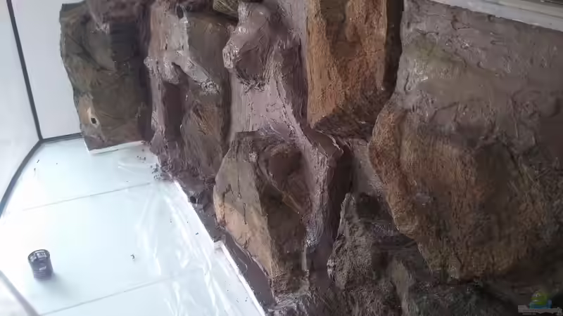 Dekoration im Aquarium Becken 31764 von Oliver Boden (61)