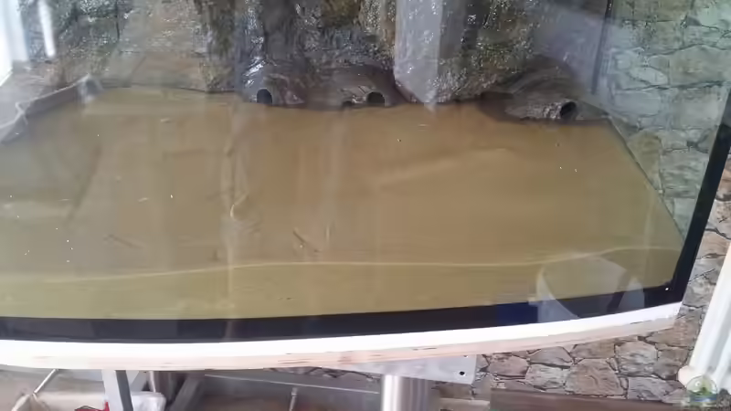 Dekoration im Aquarium Becken 31764 von Oliver Boden (63)