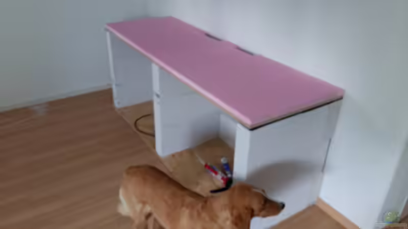 Dekoration im Aquarium Becken 32056 von sit82 (10)