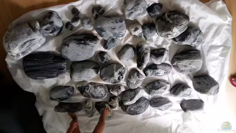 Dekoration im Aquarium Becken 32056 von sit82 (5)