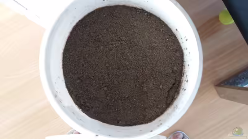 Dekoration im Aquarium Becken 32056 von sit82 (6)