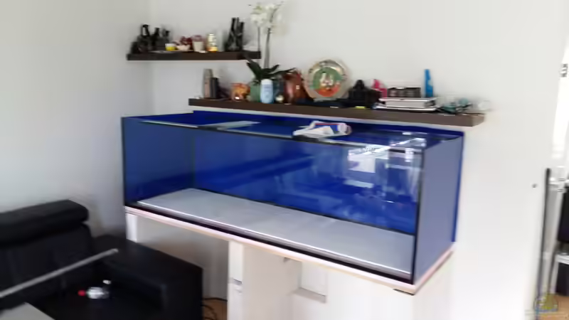 Dekoration im Aquarium Becken 32056 von sit82 (9)