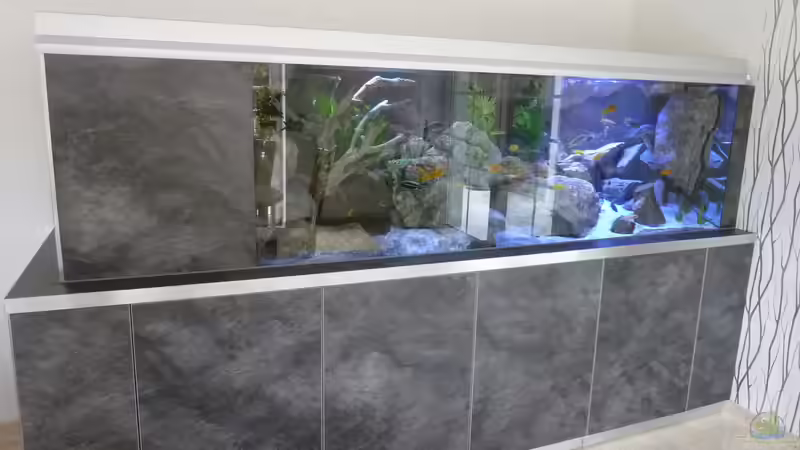 Dekoration im Aquarium Becken 32316 von Malawinator (21)