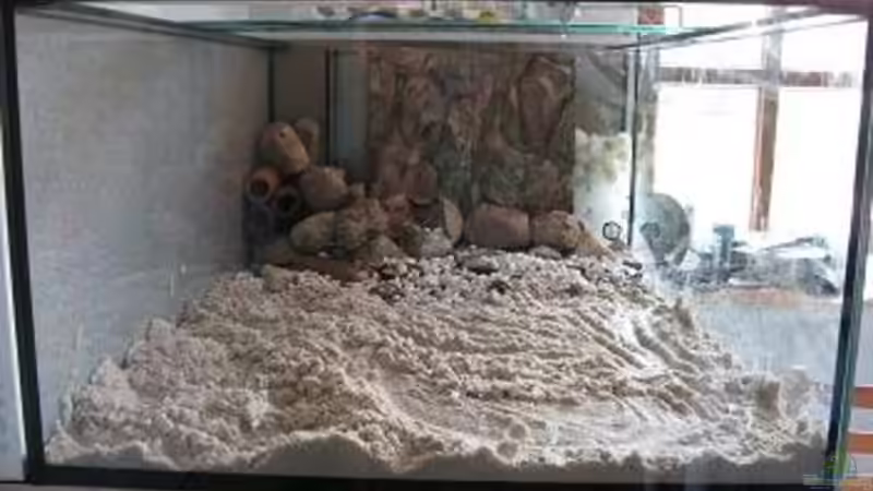 Dekoration im Aquarium Becken 3244 von Frank Muelder (3)