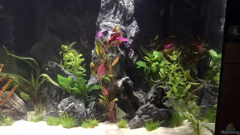 Dekoration im Aquarium Becken 33060 von Rocknar (6)