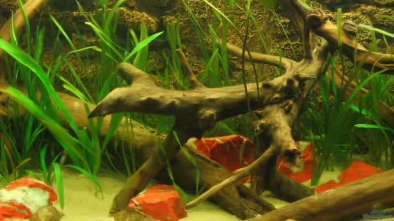 Dekoration im Aquarium Becken 3374 von andif (11)