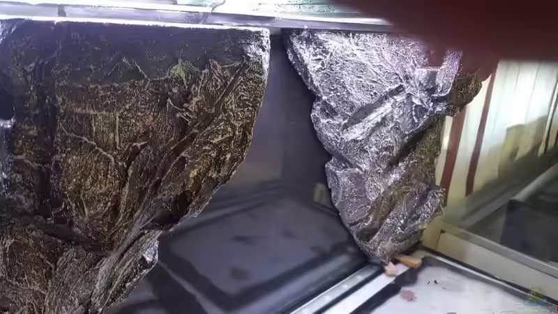 Dekoration im Aquarium Becken 34193 Tanganjika AUFGELÖST von da Dida (19)