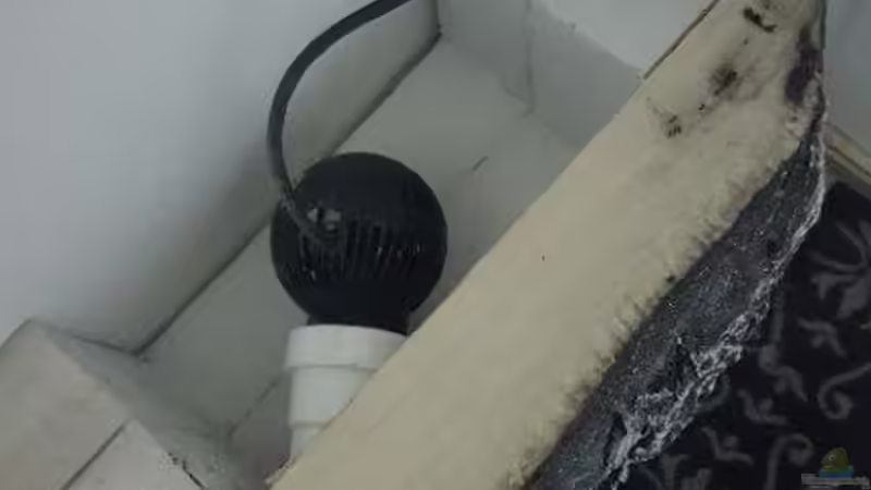 Dekoration im Aquarium Becken 34193 Tanganjika AUFGELÖST von da Dida (20)