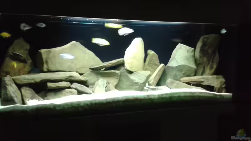 Dekoration im Aquarium Becken 34204 von Andreas Zimmermann (3)