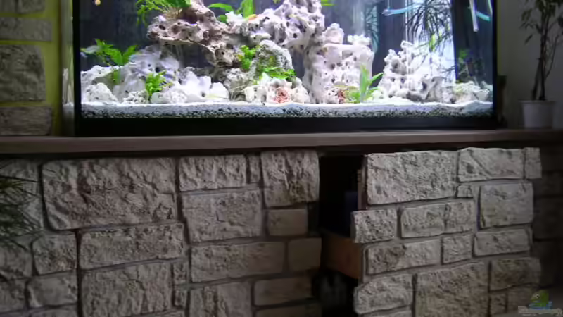 Dekoration im Aquarium Becken 359 von Frank Faselt (8)