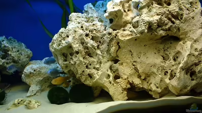 Dekoration im Aquarium Becken 362 von Lutz Rall (3)