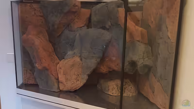 Dekoration im Aquarium Becken 37662 von Philipp Steinbrück (11)