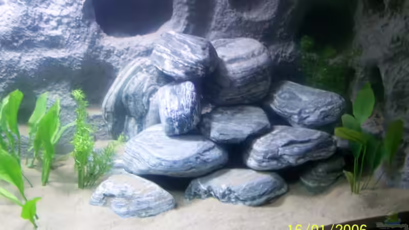 Dekoration im Aquarium Becken 3860 von M (9)