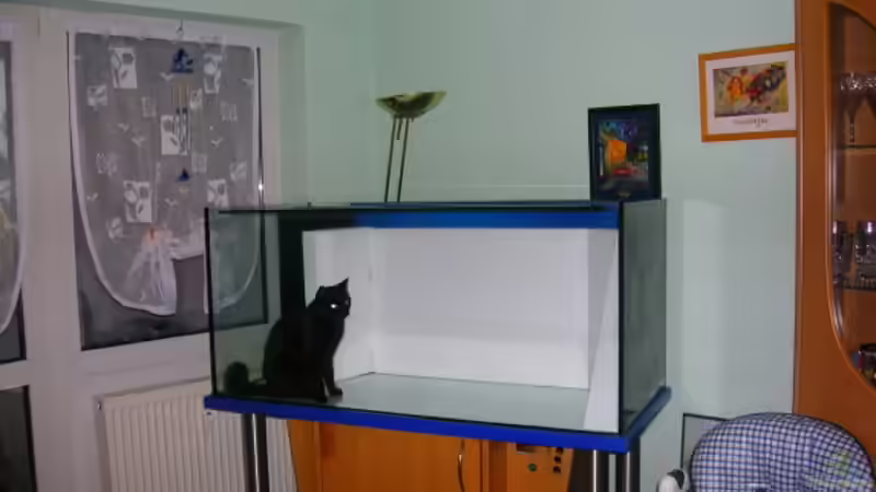 Dekoration im Aquarium Becken 3893 von Thomas Pirner (17)