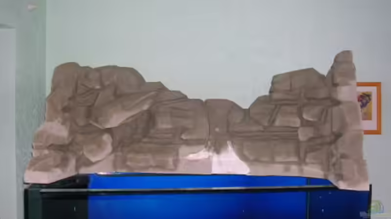 Dekoration im Aquarium Becken 3893 von Thomas Pirner (20)