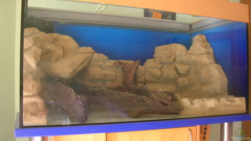 Dekoration im Aquarium Becken 3893 von Thomas Pirner (22)